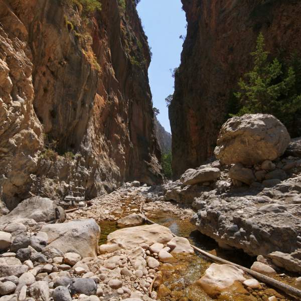 Une excursion au cœur de la nature : les Gorges de Samaria