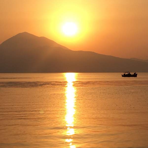 Des paysages aux nuances d'or