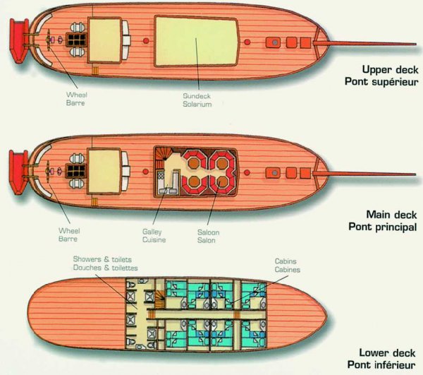 Layout