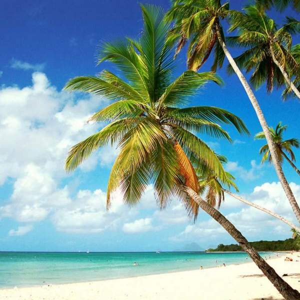 Plage de Sainte-Anne Martinique