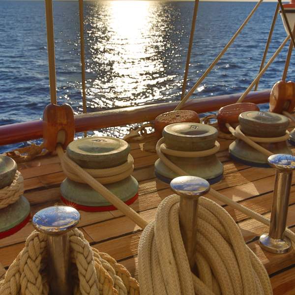 Prêts à aider l'équipage à hisser les 42 voiles ?