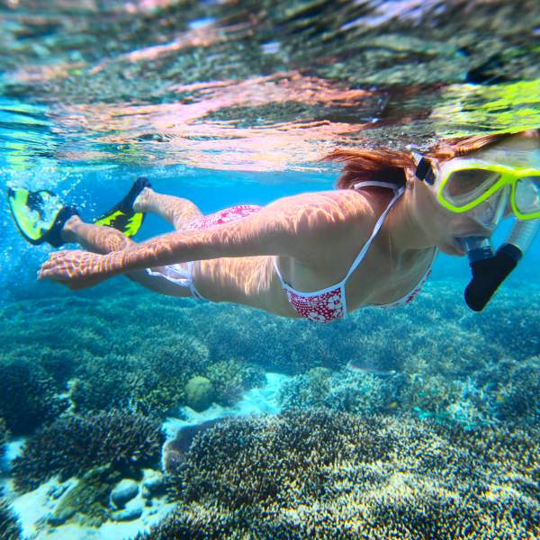 Partez explorer les fonds marin à la recherche de poissons exotiques