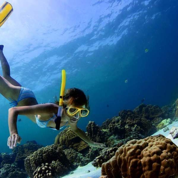 Snorkeling à Shahjahan