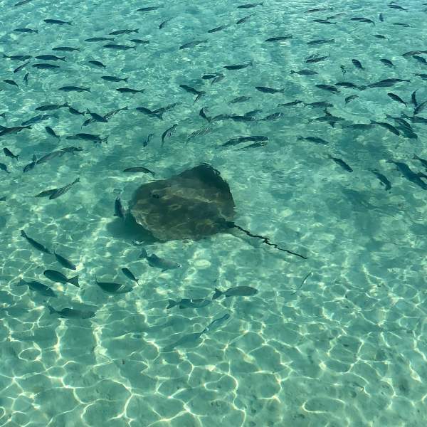Les fonds marins de Maarikilu