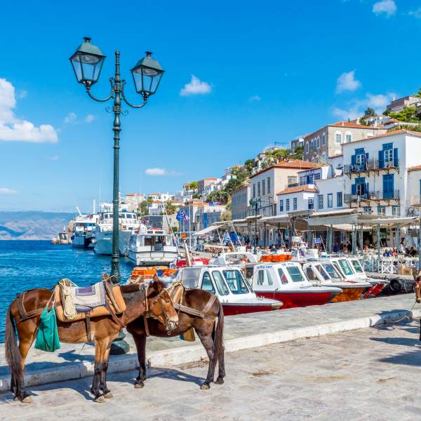 On visite Hydra à pied ou à dos d'âne !