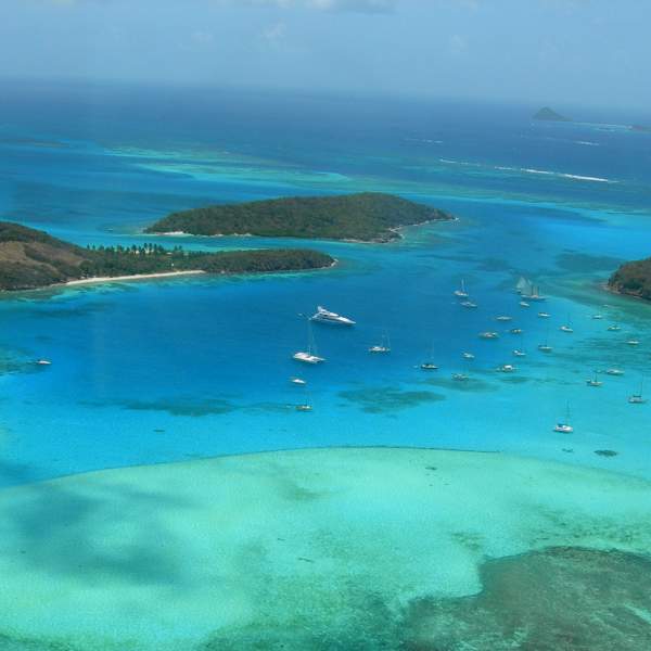 Nagez dans l'eau turquoise des Tobago Cays