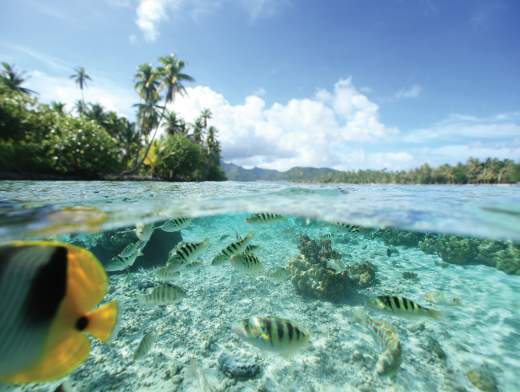 Combiné Terre & Mer en Polynésie