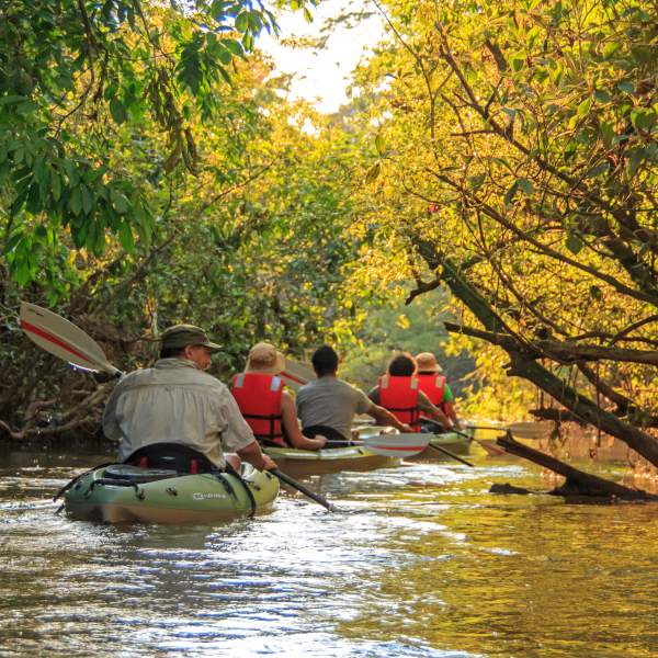 Explorez le fleuve à bord de canoës et de kayaks !