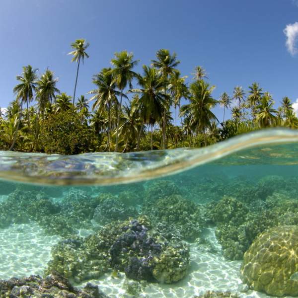 Les eaux claires de Motu Tautau