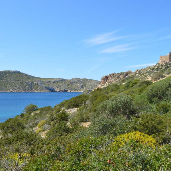L'île de Cabrera et son château