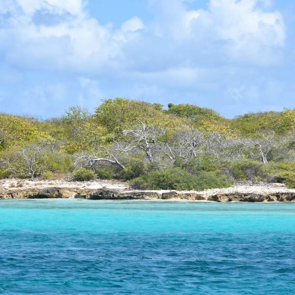 Explorez la Guadeloupe et découvrez de magnifiques panoramas