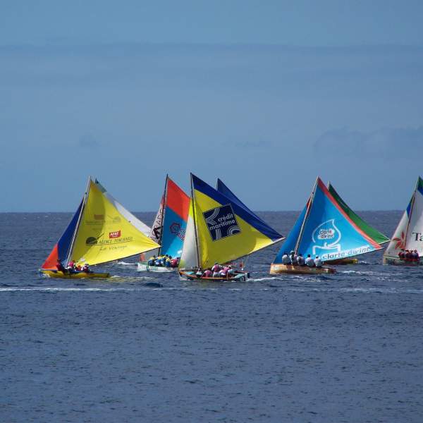 Profitez du vent pour sortir en mer