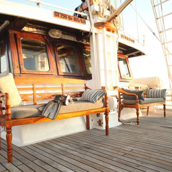 Explorez les fonds marins avec vos palmes et votre masque