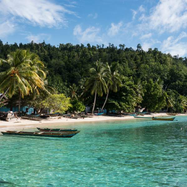 Vivez une croisière dépaysante