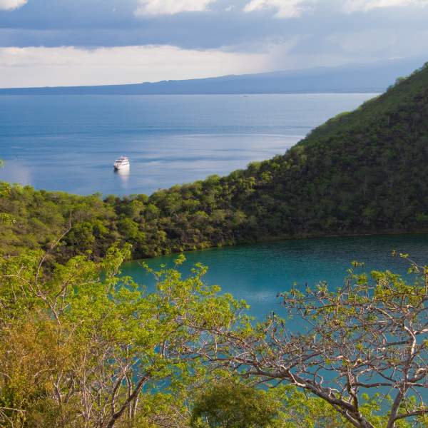 Le remarquable Lac Darwin à Tagus Cove