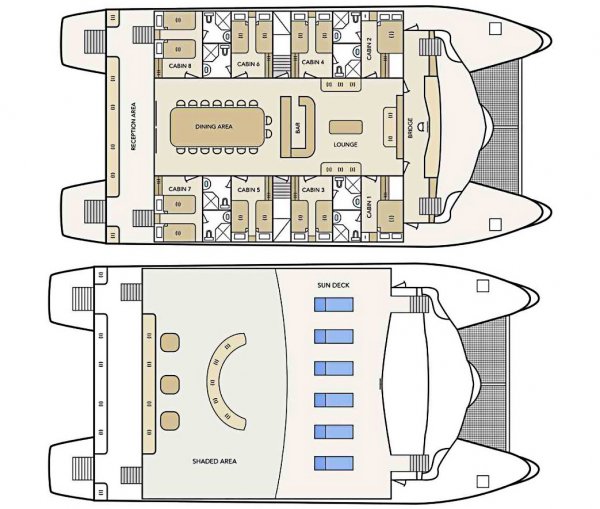 Layout