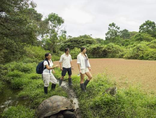 Tour des îles Galapagos