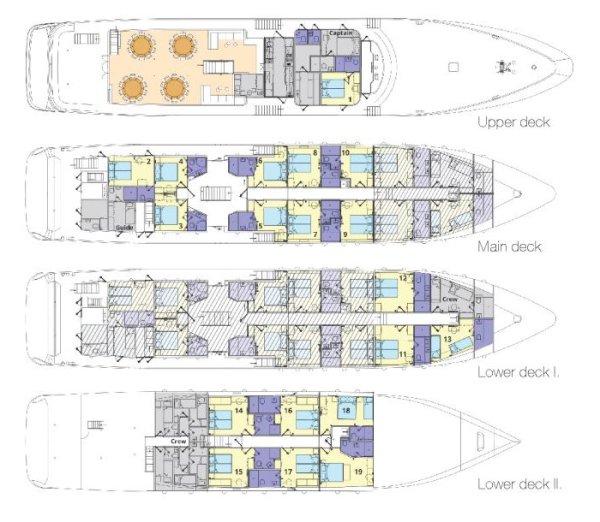Layout