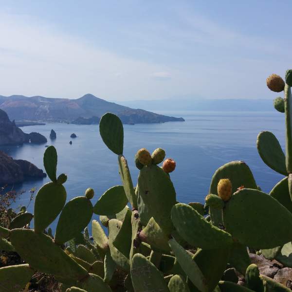 Découvrez des paysages inoubliables !