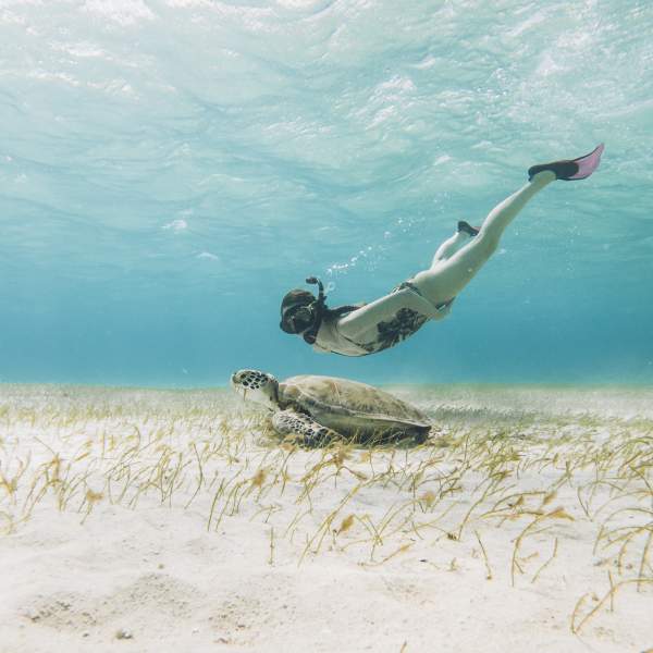 Baignades et snorkeling seront au rendez-vous !