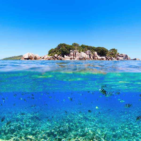 Les Seychelles : un paradis terrestre & maritime