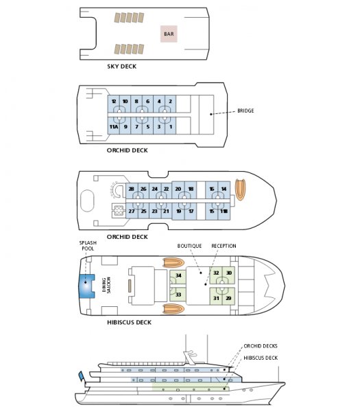 Layout
