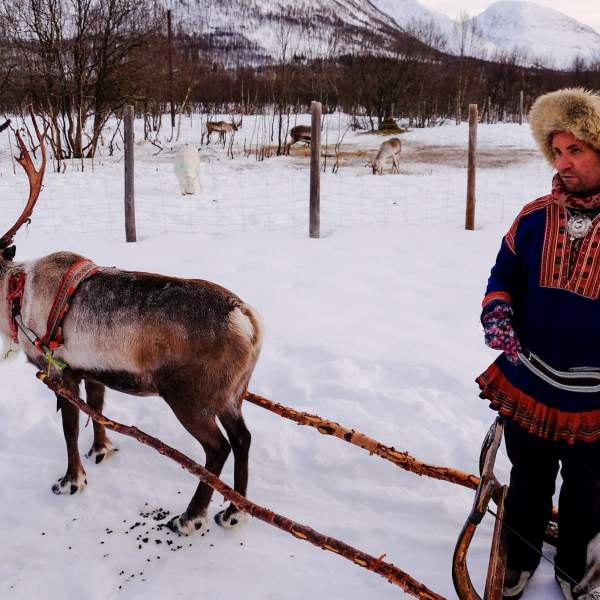 Sami et son renne