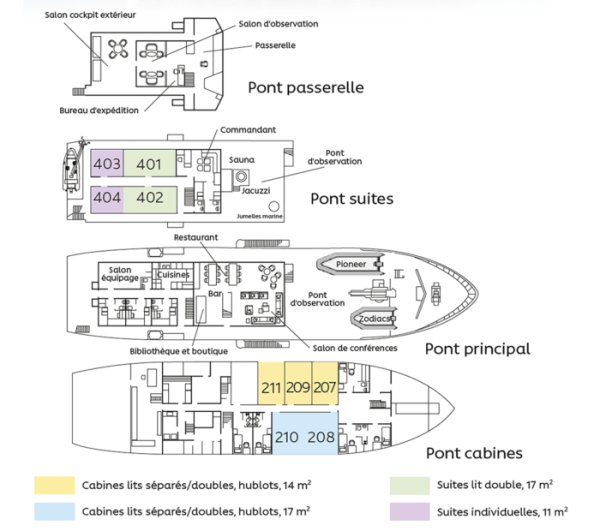 Layout