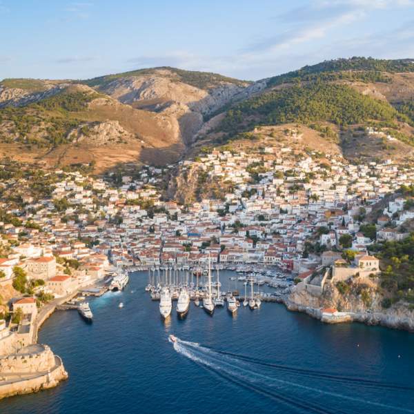 Hydra