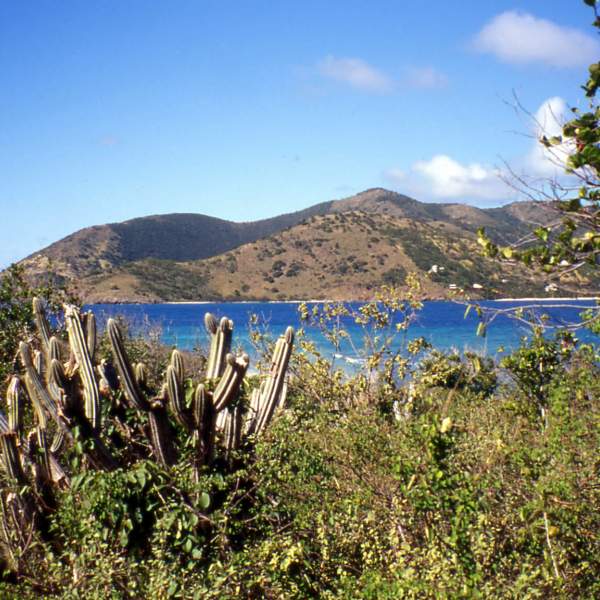 Norman Island, l'île qui inspira Robert Louis Stevenson