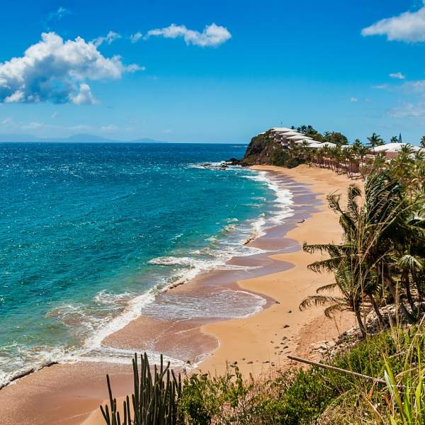 Profitez des longues plages pour vous détendre