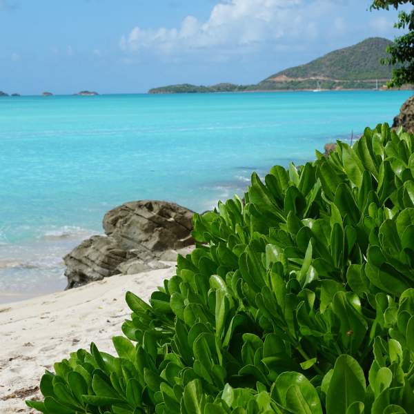 Prêt à partir dans les Caraïbes ?
