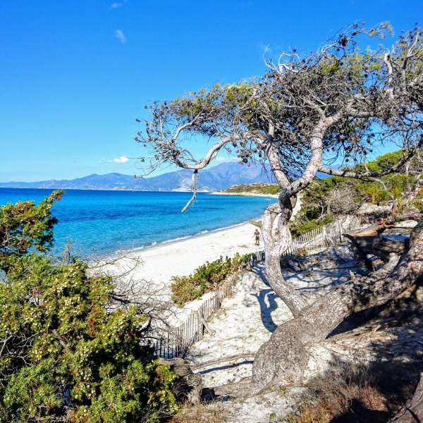 Relaxez-vous sur la belle plage de Saleccia