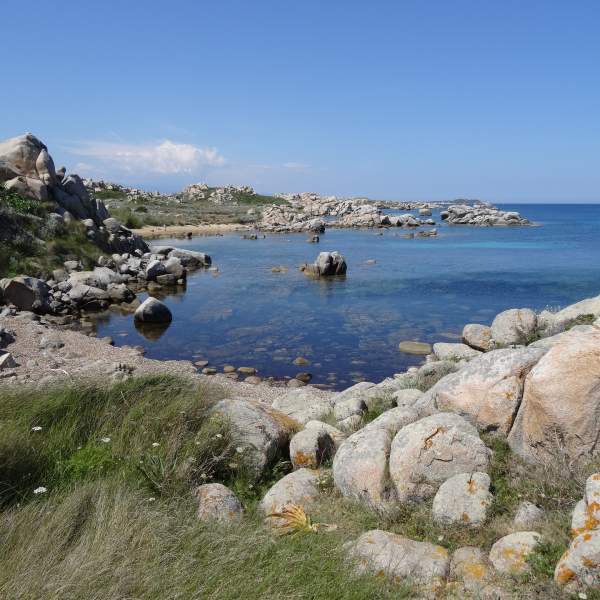 Nagez dans les eaux magnifiques des Lavezzi