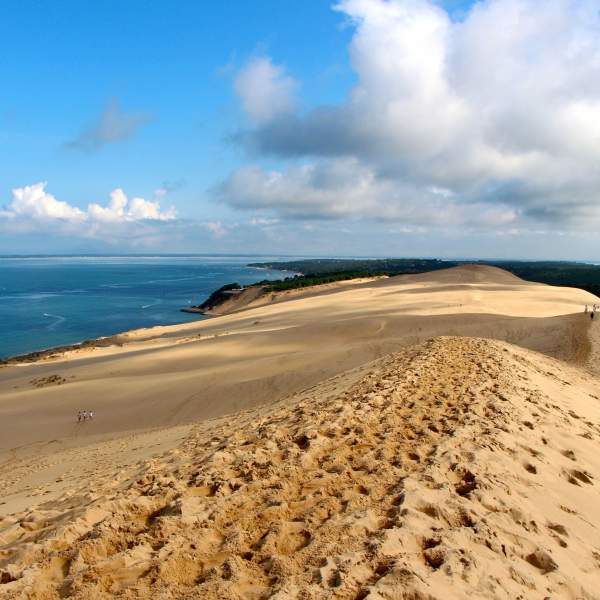 Montez au sommet de la dune du pilat