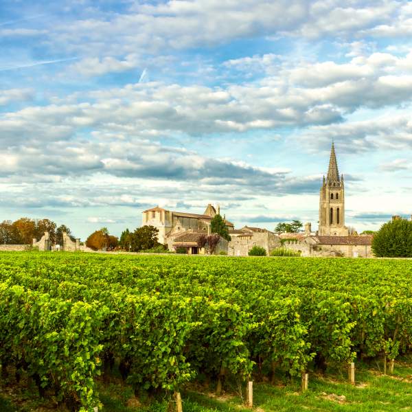 Laissez-vous tenter par les grands crus de la région
