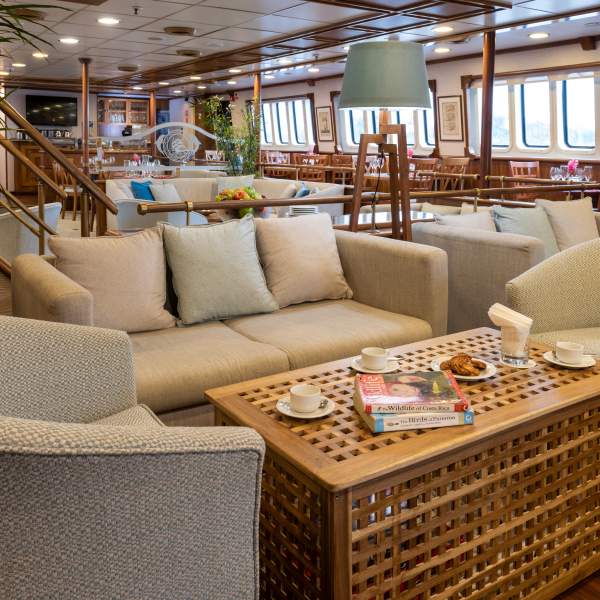 Un lounge parfait pour se relaxer