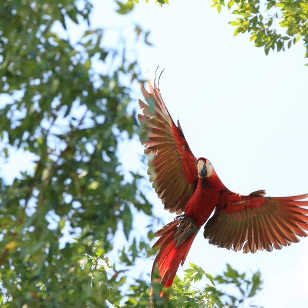 Observer la faune et la flore sauvage