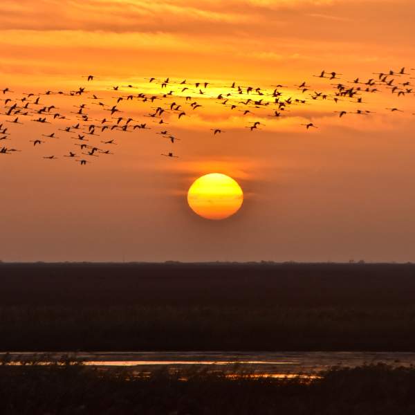 Admirez des fabuleux couchers de soleil