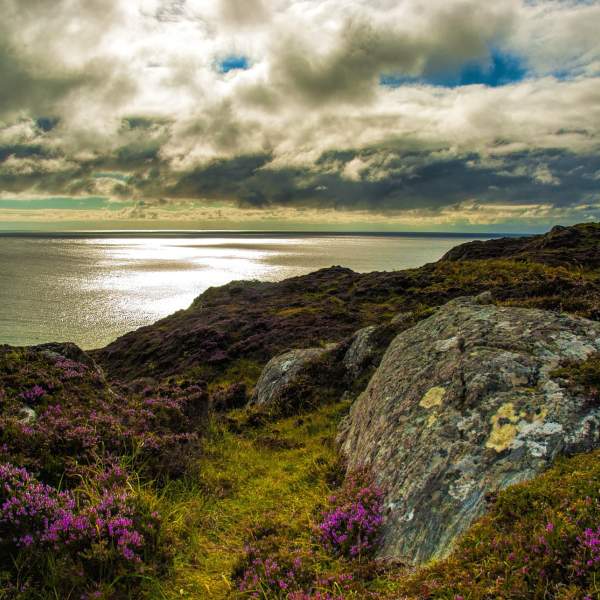 Des paysages de toute beauté
