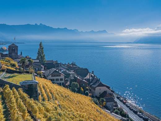 Croisière en catamaran sur le lac Léman