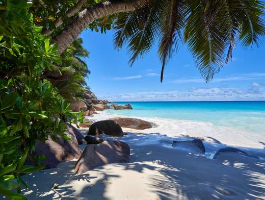 5 jours de rêve aux Seychelles en catamaran