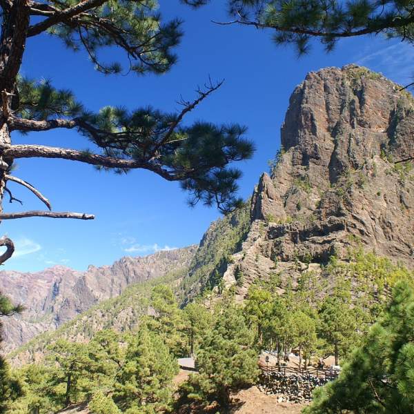 Les montagnes de La Palma
