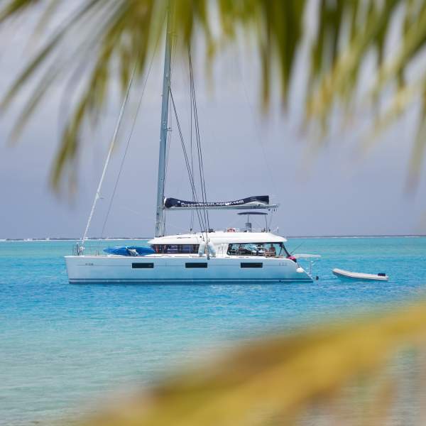 Flybridge ou carré.. À vous de choisir