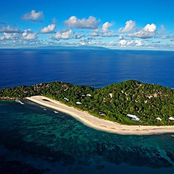 L'île cousin ou l'île aux oiseaux