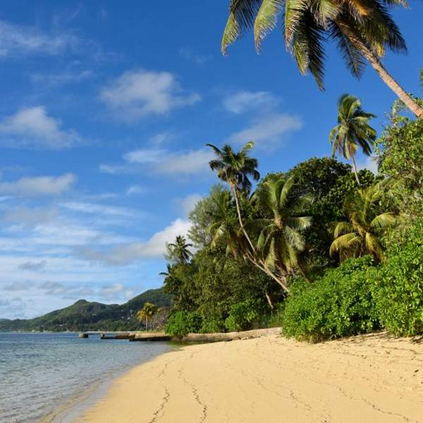 Sur la plage de Mahé