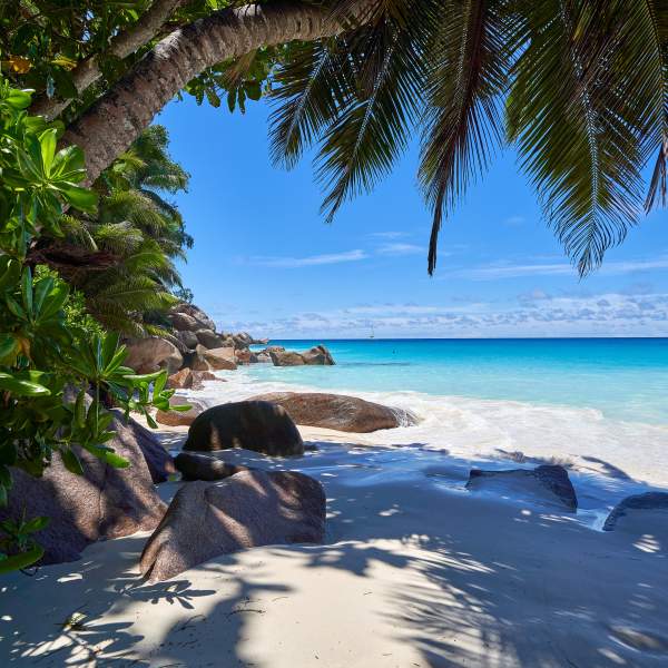 La plage de la Digue, un paradis sur terre