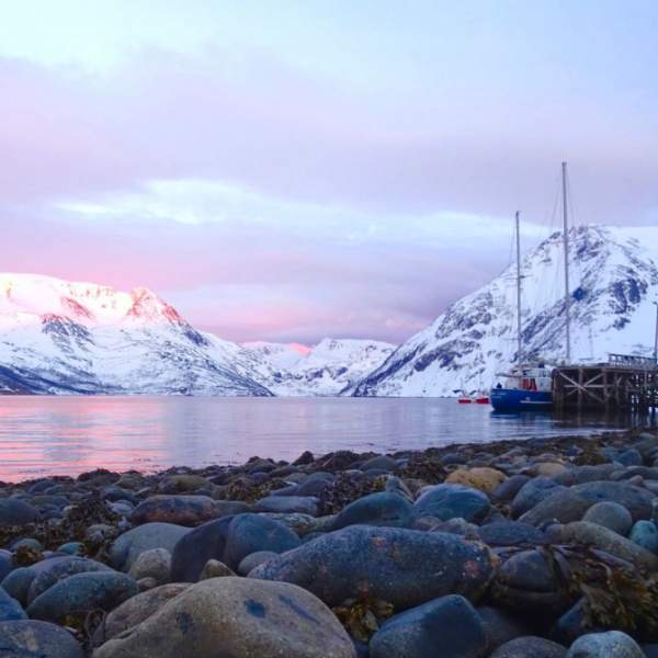 Des couleurs resplendissantes