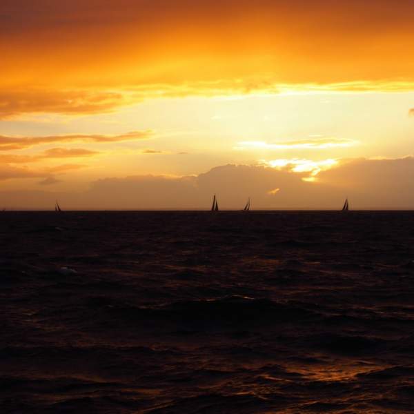 Les voiliers au coucher de soleil