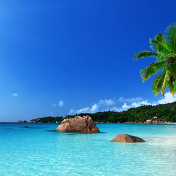 Anse Lazio, l'une des plus belles plages du monde